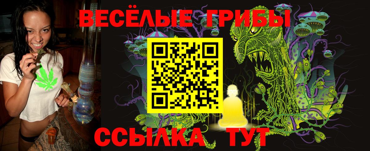 Наро-Фоминск  Псилоцибиновые грибы мухоморы  Вход с VPN 